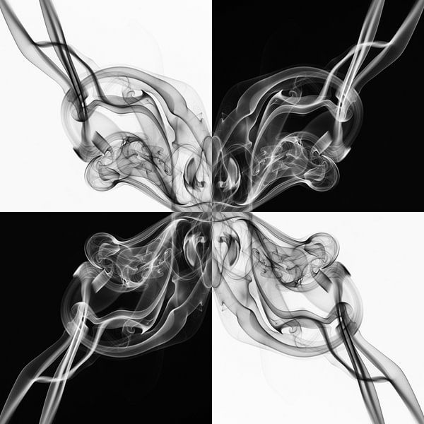 Abstract zwart wit van Elles Rijsdijk