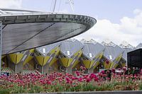 La gare Blaak et les maisons Cube