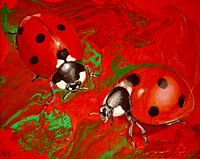 Lucky beetle with 7 points