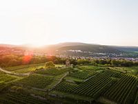 Flaggenturm (Kaffeemühlchen) Bad Dürkheim