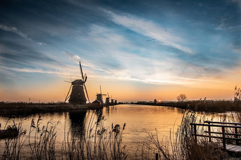 Windmühlen bei Kinderdijk bei Sonnenaufgang von Rowan van der Waal