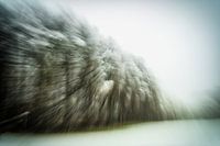 Waldrand im Schneefall abstrakt