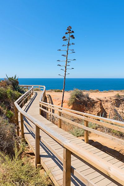 magnifique paysage côtier Lagos, Ponta da Piedade, avec bois par SusaZoom