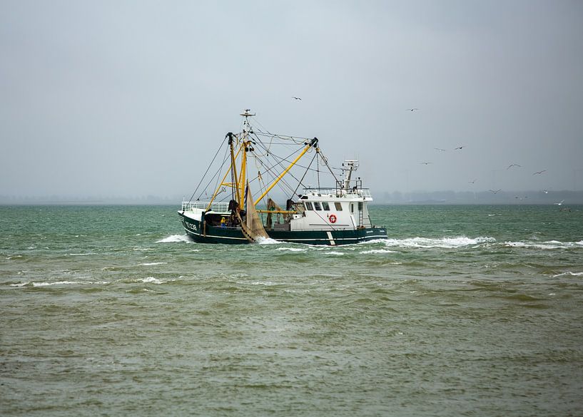 Fischkutter Vlissingen von MSP Canvas