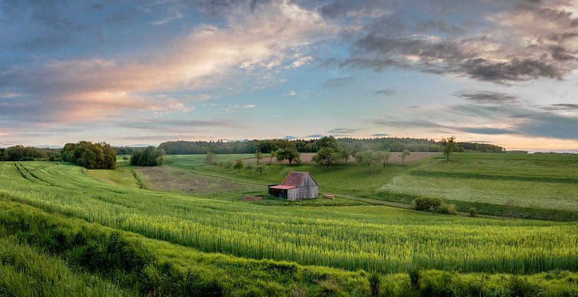 Hütte auf dem Feld von Frans Plat