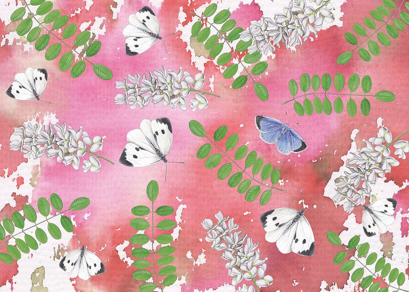 Acacia with cabbage whites and tree blue in a vintage look. by Jasper de Ruiter