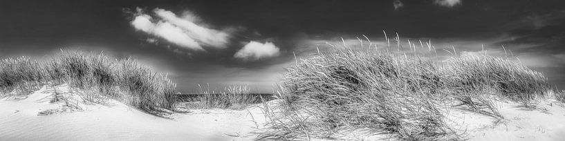 Plage , dunes et mer en noir et blanc. par Manfred Voss, Photographie Noir et Blanc