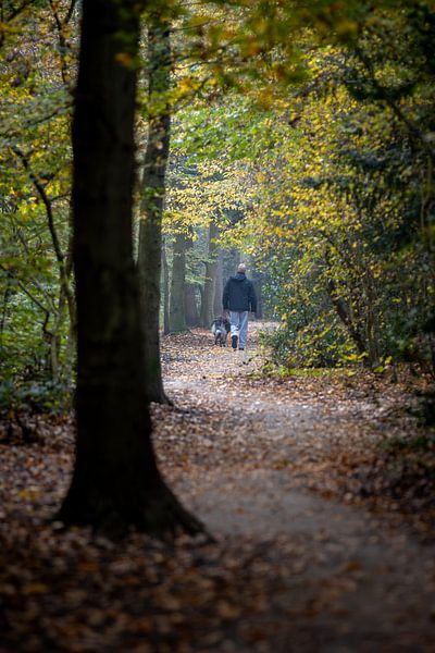 Men's Friend by Sebastian Stef