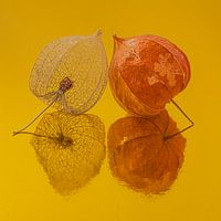 Heureux ! Carré avec deux lanternes