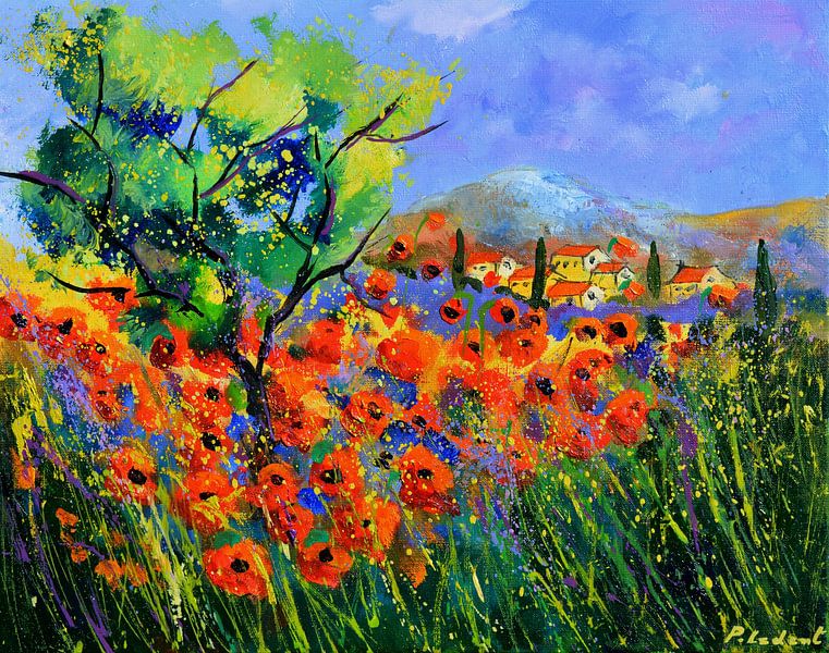 Poppies in Provence by pol ledent