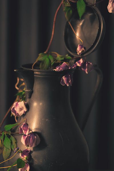 Verlorene rosa Pracht von met Jessica / Fotostudio Drachten