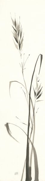 Herbe sauvage II, Chris Paschke par Wild Apple