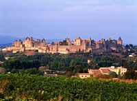 Cité de Carcassonne and vineyards 22