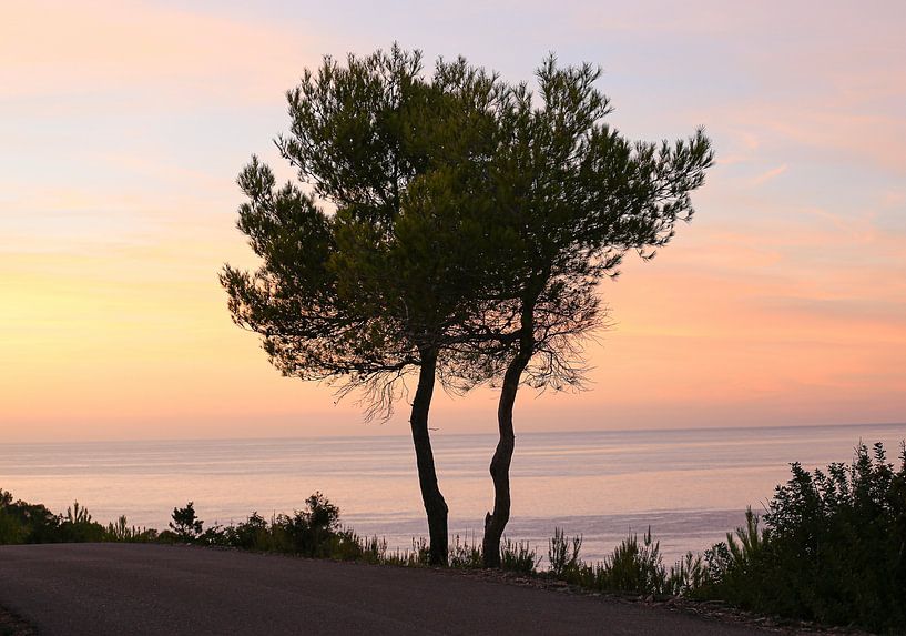 Ibiza nights by Marcel Hondeveld