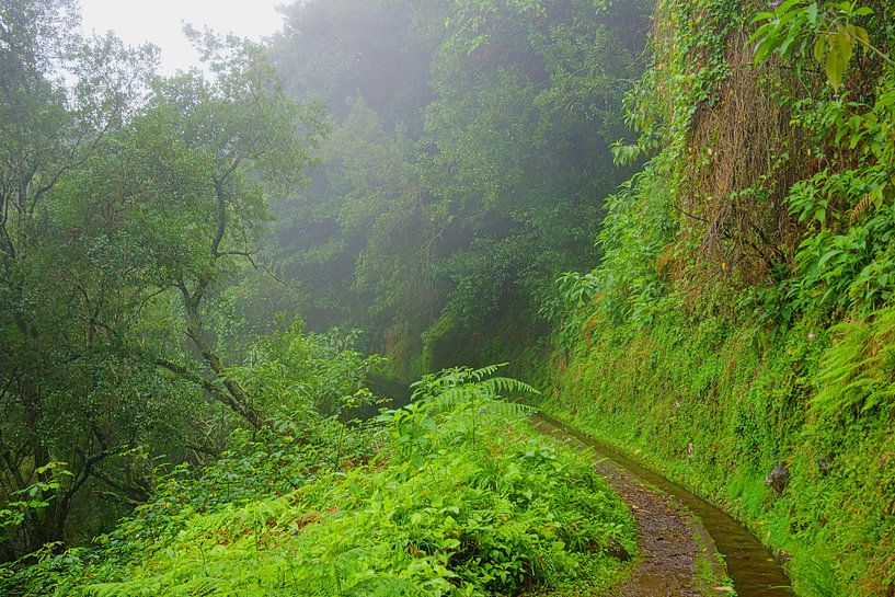Madeira par Michel van Kooten