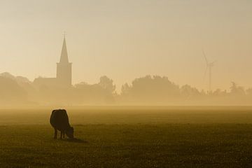 Kuh im Nebel von Jaap Terpstra
