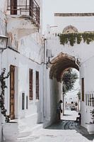 Lindos, the white village on Rhodes