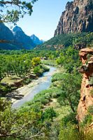 Canyon Oasis Landscape Photo, Zion National Park USA
