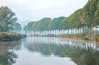 Fog in the Ooijpolder