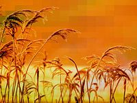 Schilf vor einem geometrischen bunten Hintergrund