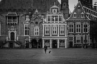 Grote Markt | Haarlem