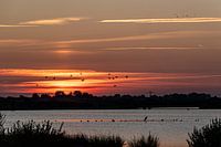 Coucher de soleil à 'T Roegwold