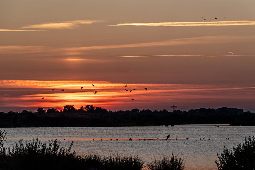 Coucher de soleil à 'T Roegwold par Joeri Imbos