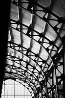 Plafond de la gare de Haarlem