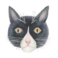 Black and white cat watercolor white background