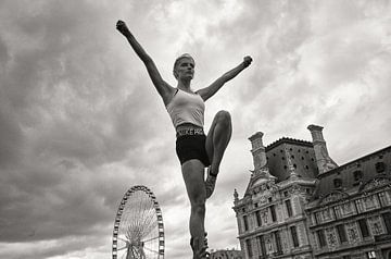 Jardin des Tuileries in Parijs van Hans Van Leeuwen