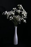 Stilleben mit Baby's Breath in weißer Vase