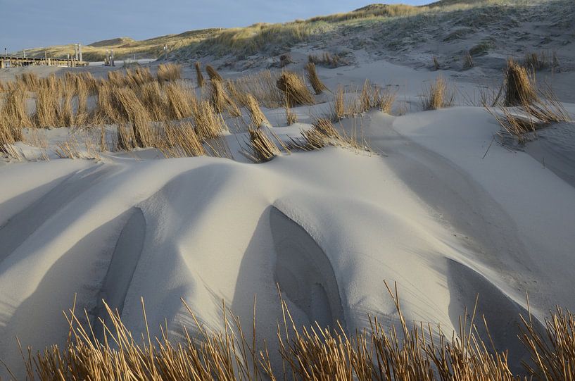 De duin van Corinna Vollertsen