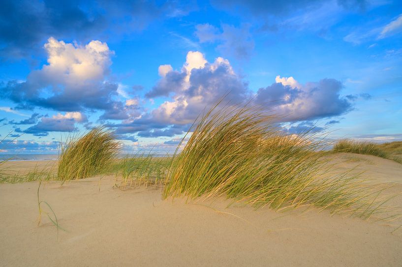 Sonnenuntergang am Strand von Texel mit Sanddünen im Vordergrund von Sjoerd van der Wal Fotografie