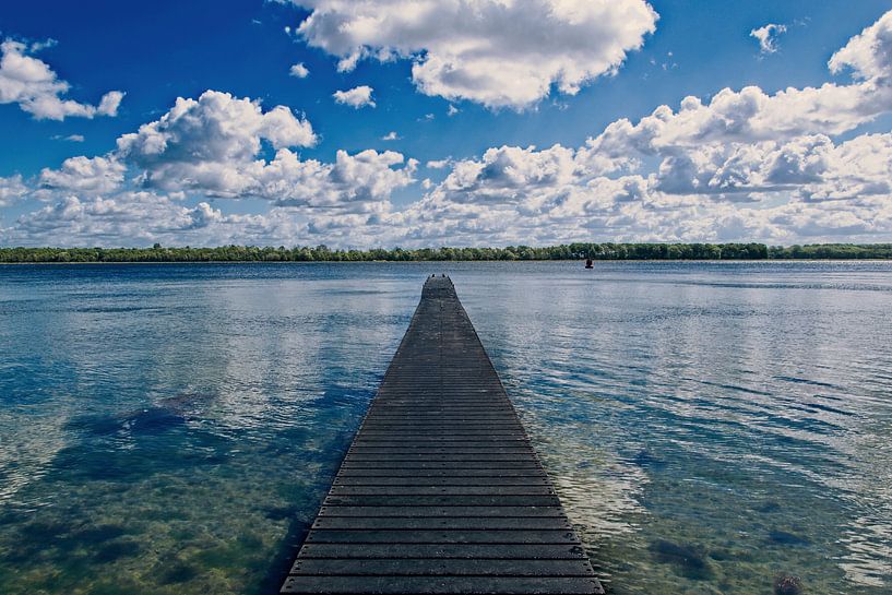 Scaffold to more by Mariska de Jonge