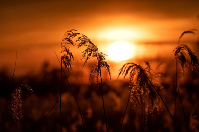 Das Ende eines Sommertages am See von Uwe Ulrich Grün