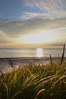 Bovenop de duinen van Ameland
