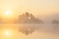 Die Flaes im Morgennebel