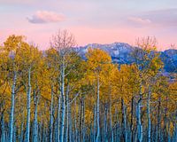 Herbstliches Vergnügen