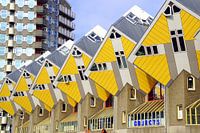 Yellow Cube houses