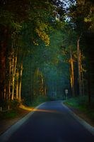 Hatertse and Overasseltse Vennen.