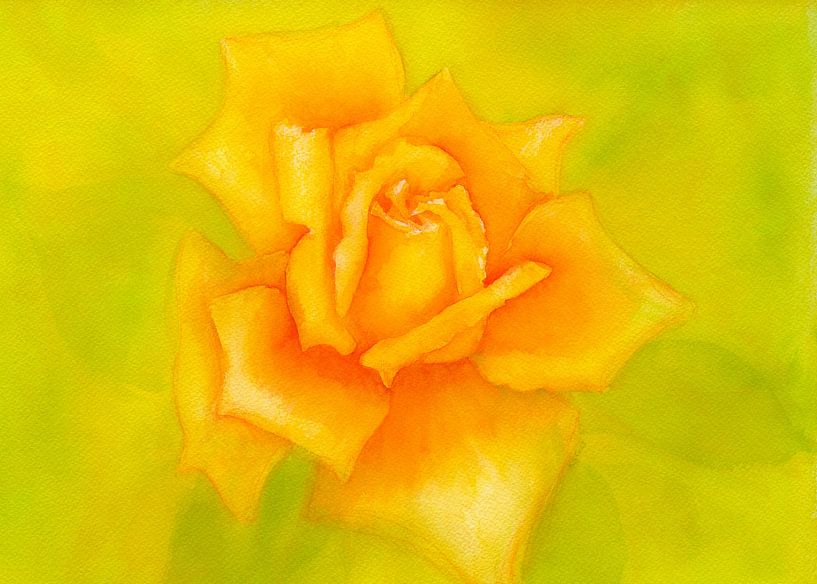 Another yellow rose by Karen Kaspar