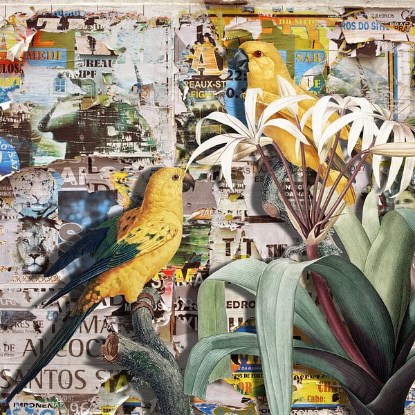 Street Art Parrots by Marja van den Hurk