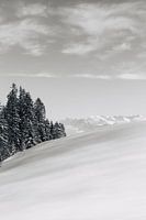 Swiss Alps 01 | Black and white