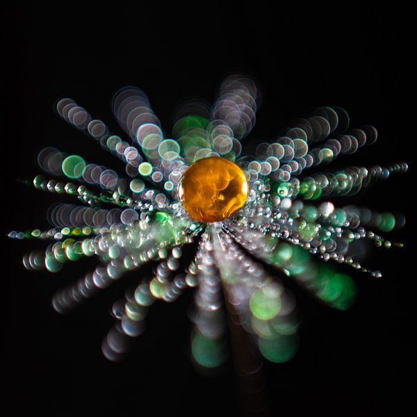 Orange drip on a fluff by Bert Nijholt