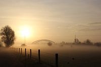 Mistige Uiterwaarden Oosterbeek