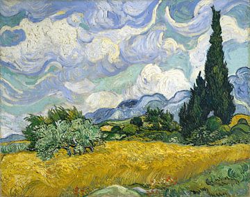 Wonderbaarlijk Vincent van Gogh op canvas en meer - Werk aan de Muur JK-41