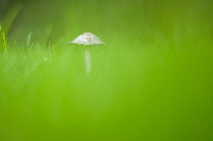 Einsam von Angeline van de Kerkhof