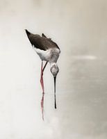 Het juiste moment...