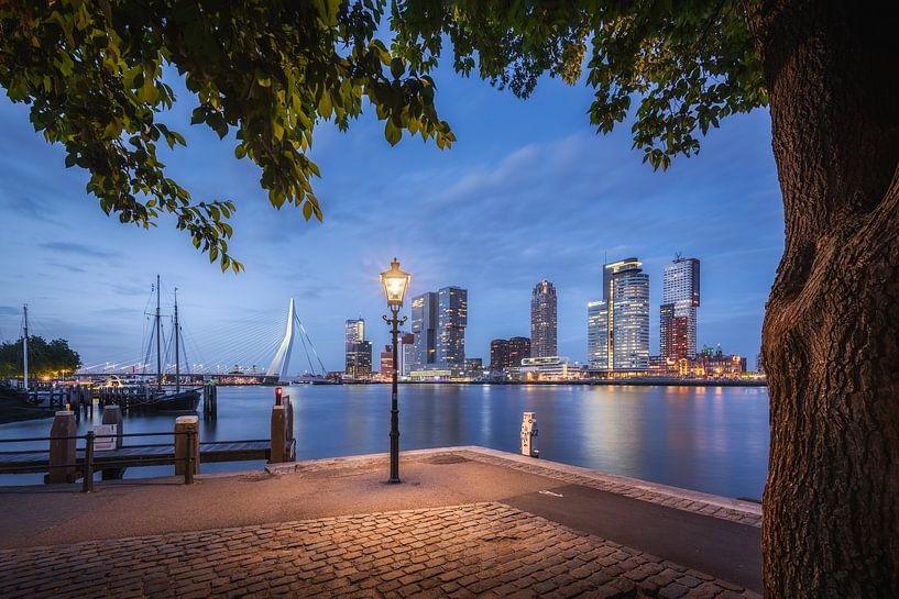 Ligne d&#039;horizon de Rotterdam Veerhaven avec le pont Erasmus par Niels Dam