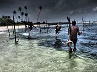 Sri Lanka, traditionele paalvissers